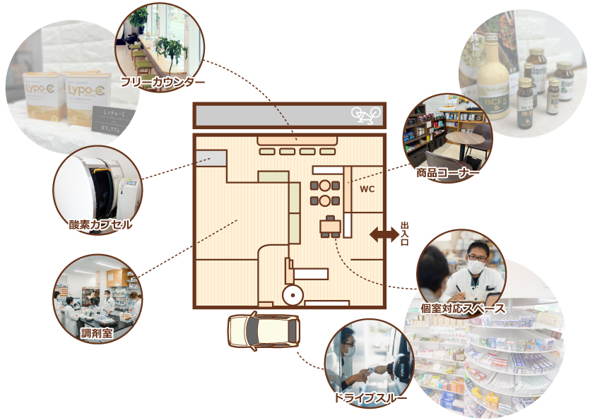 大洞薬局本店_店内図1